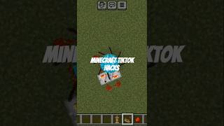 Minecraft TikTok hacks minecraft minecraftpe minectraftbuilding [upl. by Juakn]