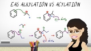 EAS Friedel Crafts Alkylation vs Acylation EAS vid 8 by Leah Fisch [upl. by Martelle]