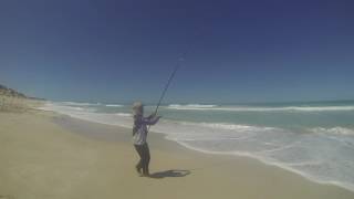 Mulloway fishing South Australia [upl. by Danni654]