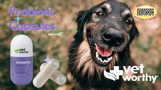 Vet Worthy Probiotic Capsules for Dogs [upl. by Hilaria]