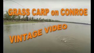 How to Catch Grass Carp on Fly Rod  See The Fish Be The Fish Catch The Fish Lake Conroe Texas [upl. by Seppala]