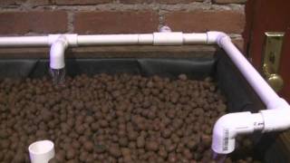 Aquaponics for a New York City apartment  Part 4 Expanded Clay Media [upl. by Almita175]