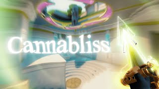 Cannabliss 🌿 Valorant Montage [upl. by Gulgee]