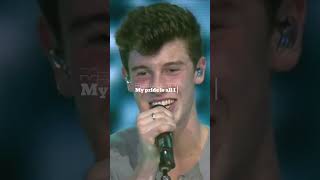 Mercy  Shawn Mendes [upl. by Moran]