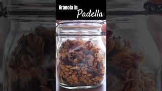 GRANOLA FATTA in CASA SENZA FORNO SENZA GLUTINE LATTICINI e UOVA  Con avena e cioccolato [upl. by Kirk]