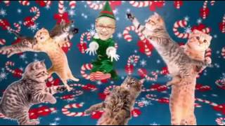 Check out my ElfYourself Dance [upl. by Ollie27]