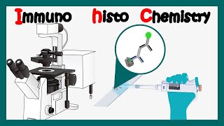 Immunohistochemistry  How to perform immunohistochemistry  application of immunohistochemistry [upl. by Eizeerb]