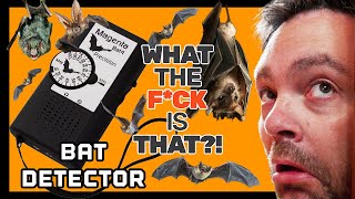 Bat Detector  WTF is That [upl. by Nicram]