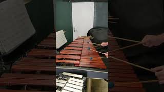 4 Mallet Marimba Exercise Single Independent Strokes with 8th Notes and 8th Note Triplets [upl. by Ayerim]