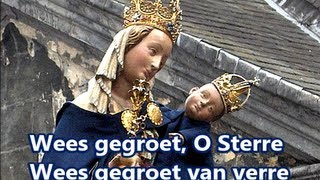 Wees gegroet O Sterre [upl. by Oakley967]