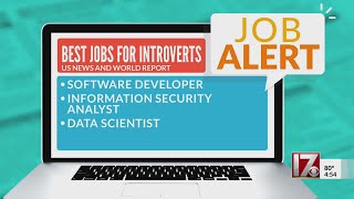 Best jobs for introverts according to new report [upl. by Adnohsed911]