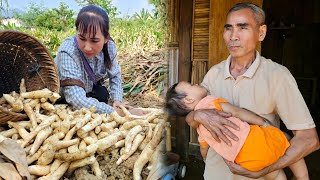 Building new life when daughter leaves  Digging tubers  Gardening  Food processing  Ly Phuc Binh [upl. by Gregoor]