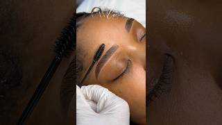 Brow Lamination sobrancelhas brows browlamination eyebrows eyebrowlamination [upl. by Aysan]