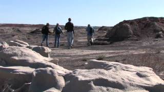 Bisti  DeNaZin Wilderness Introduction [upl. by Hanley]