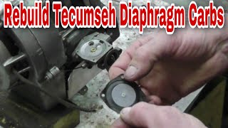 How To Rebuild Tecumseh Diaphragm Carburetors with Taryl [upl. by Zena]