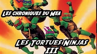 Les Tortues Ninjas 3 1993  Les Chroniques du Mea [upl. by Yanahc553]