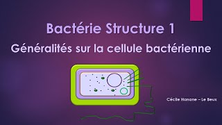 Bactérie Structure 1 BACTERIE [upl. by Irot509]