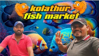 kolathur fish marketBujji from Chennaifish🐠🐠 [upl. by Anastasio997]