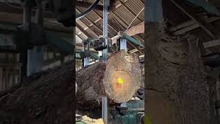 Wood Sawing Work 351 sawwood wood woodworking woodwork woodshop sawmill sawing woodislife [upl. by Gusta]