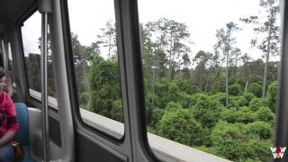 Transportation and Ticket Center Monorail to Epcot [upl. by Henke443]