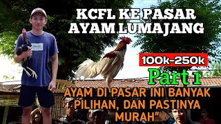 ayam di pasar ini banyak jenisnya dan pastinya murahquot🤩ayamberkualitas peternakmuda masukberanda [upl. by Shere]