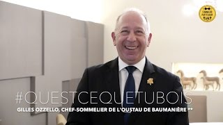 QUEST CE QUE TU BOIS  Gilles Ozzello chefsommelier de lOustau de Baumanière [upl. by Millie]