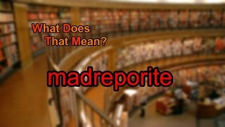 What does madreporite mean [upl. by Sihtnyc]