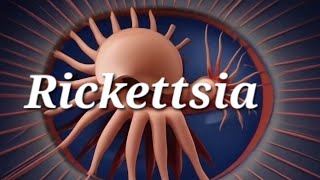 Characteristics of Rickettsia in short  PYQ  Sem 3 B Pharmacy  Microbiology [upl. by Ynna61]