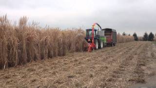 Kemper 3pt chopper New Holland TV140 Miscanthus Bioenergy Research Harvest [upl. by Kremer707]