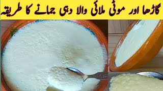 dahi jamane ka sahi tarika  dahi jamane ki recipe  homemade dahi [upl. by Icyaj533]