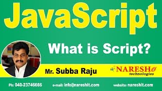 What is Script  JavaScript Tutorial  Mr Subba Raju [upl. by Hulbig]