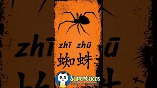 学中文 蜘蛛  Learn Chinese SPIDER  Aprender Chino  ARAÑA Shorts [upl. by Ennovyhc]