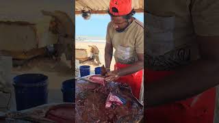 Skipjack Tuna Fish Slicing Skill  Fastest Tuna Fish Cutting Skill [upl. by Amanda]