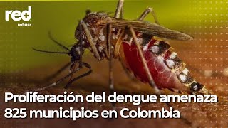 Fenómeno de El Niño prolifera el dengue en Colombia  Red [upl. by Rehpetsirhc]