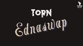 Ednaswap  Torn Karaoke  Instrumental [upl. by Nnarual]