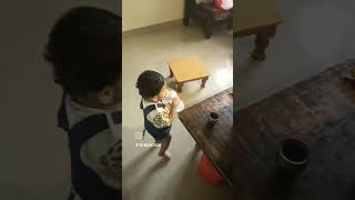 Lola the cow 😂viralvideo cutebaby funnybaby cowvideos [upl. by Felike]