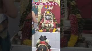 Om Namashivaya 🙏 shivaratri temple uk gowthami ytshorts viral [upl. by Ennayt]