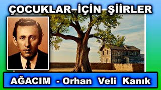 Çocuklar İçin Şiirler  Ağacım  Orhan Veli Kanık [upl. by Ardnossac22]