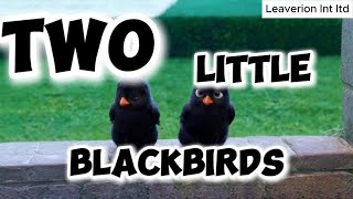 Two Little Blackbirds [upl. by Eceinej216]