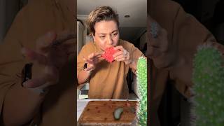 KARPUZ SANDVİÇ🍉 shorts karpuz sandwich viral shortvideo recipe tarif yemek pratiktarifler [upl. by Antons]