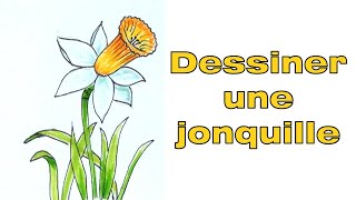 Comment dessiner une jonquille dessiner une fleur facile [upl. by Canada37]