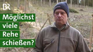 Jäger schießt Rehwild Gesunder Wald ohne Zaun  Wald schützen  Jagd  Unser Land  BR [upl. by Anastasius]