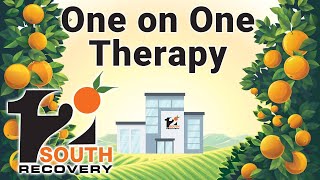 One on One Individual Therapy [upl. by Ilan]