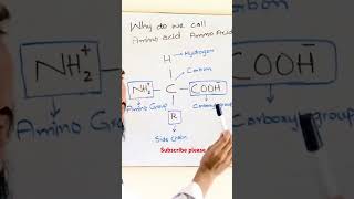 Why do we call Amino acid Amino acid Structure of Amino acid [upl. by Artimed932]