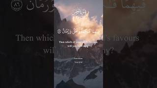 Part 20  Surah Rahman beautiful voice  Surah Rahman  🥰🥰😍❤️🌹 [upl. by Noxas]