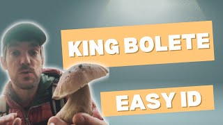 King Bolete Identification  A Simple Guide for Beginners [upl. by Cullan413]