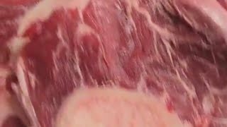 BEEF SHANK  Beef Osso Bucco ASMR beef shortlive asmr shortfeed [upl. by Yruok]