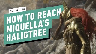 Elden Ring How to Reach Miquellas Haligtree Haligtree Medalion Solution [upl. by Wagner]