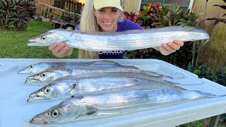 Florida Inshore Fishing for Ribbonfish how to catch clean amp cook [upl. by Allare]