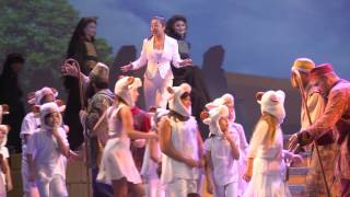 Joseph and the Amazing Technicolor® Dreamcoat presented by 3D Theatricals [upl. by Profant]